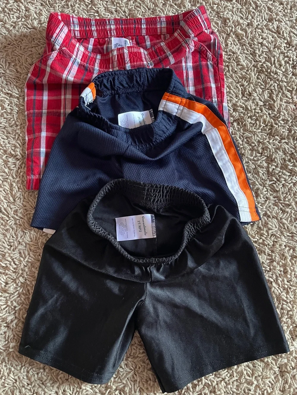 Boys 2T Shorts Lot – 10 Pairs, Cat & Jack & More